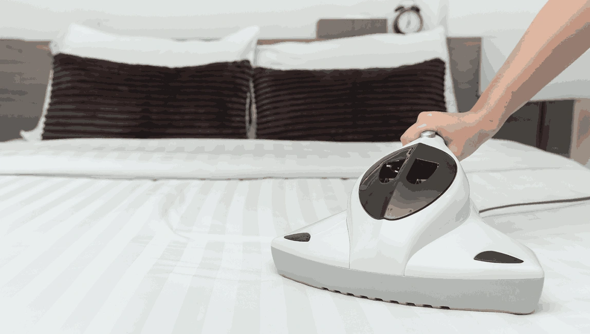 Professional Mattress Cleaning Mentone